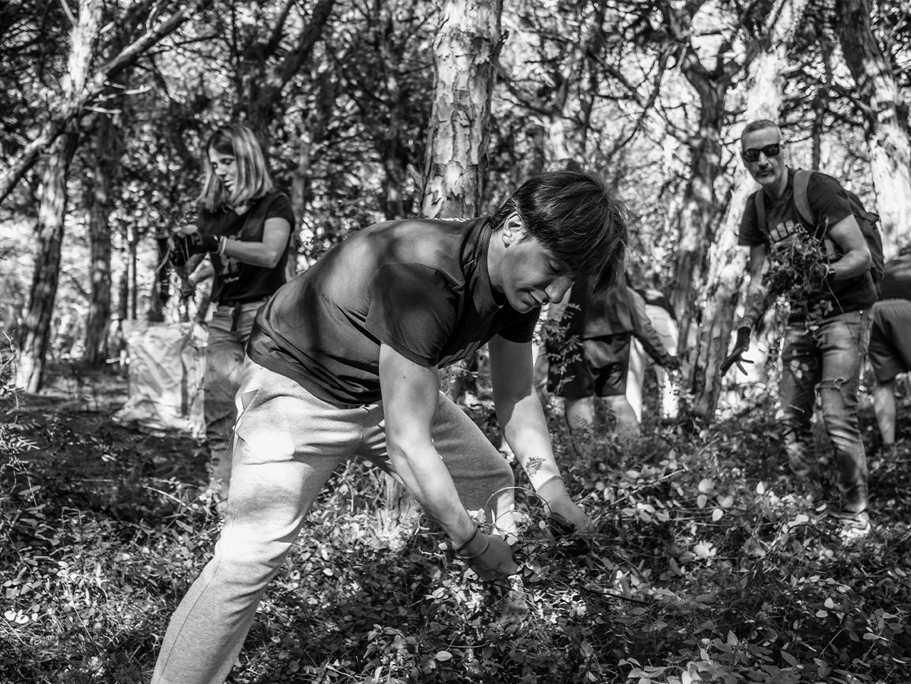 Volunteers from Grupo Ferrer carrying out reforestation and forest cleaning tasks to care for the environment.