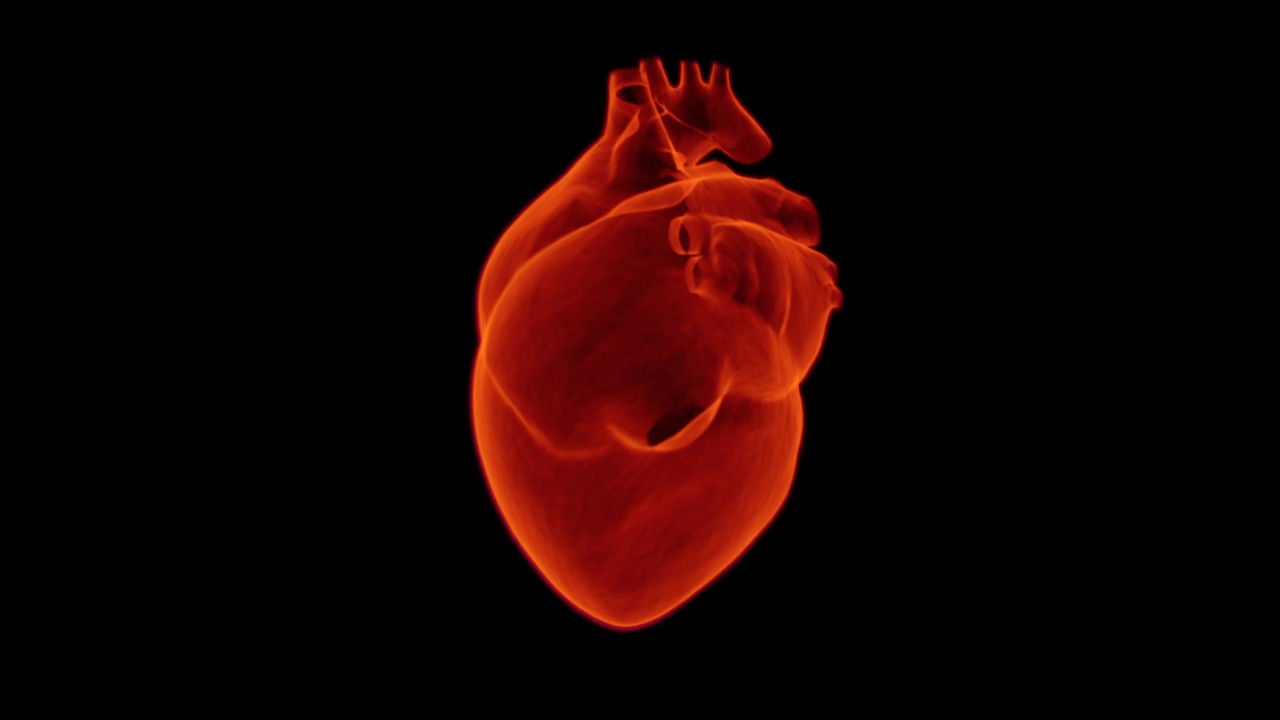 Ilustración anatómica de un corazón humano en tonos rojos sobre fondo negro.