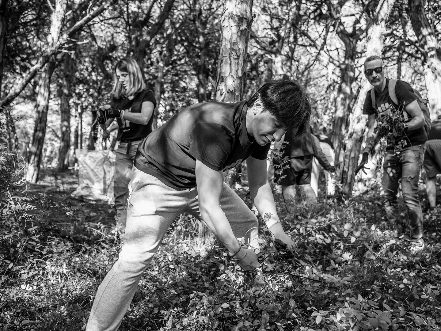 Volunteers from Grupo Ferrer carrying out reforestation and forest cleaning tasks to care for the environment.