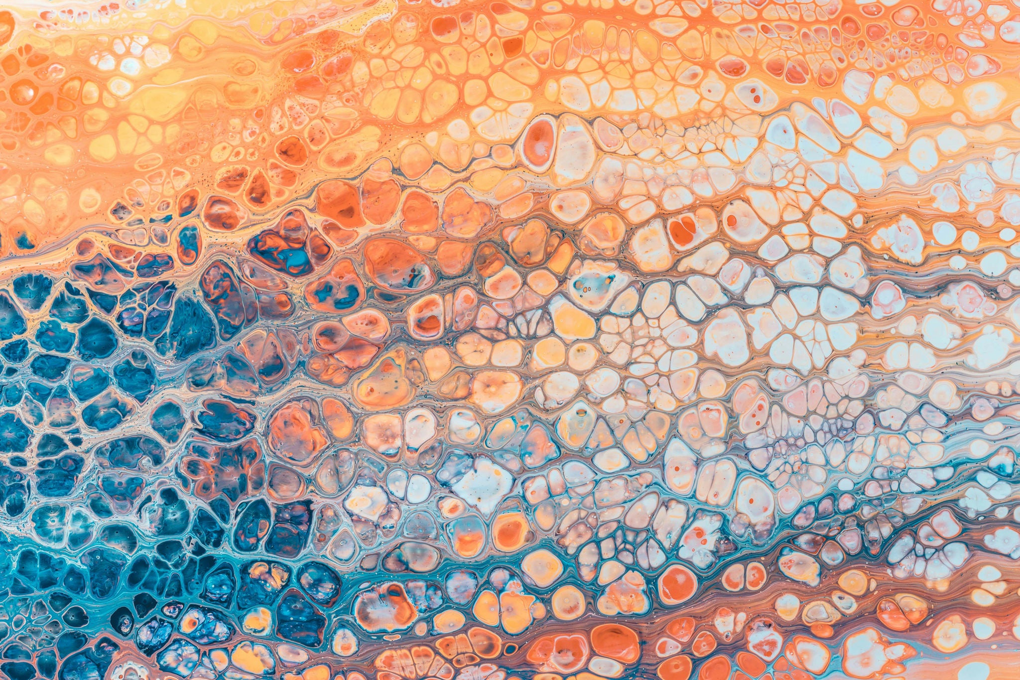 Imatge abstracta amb formes cel·lulars en tons taronges, blaus i blancs, evocant investigació científica, biotecnologia i innovació en salut.