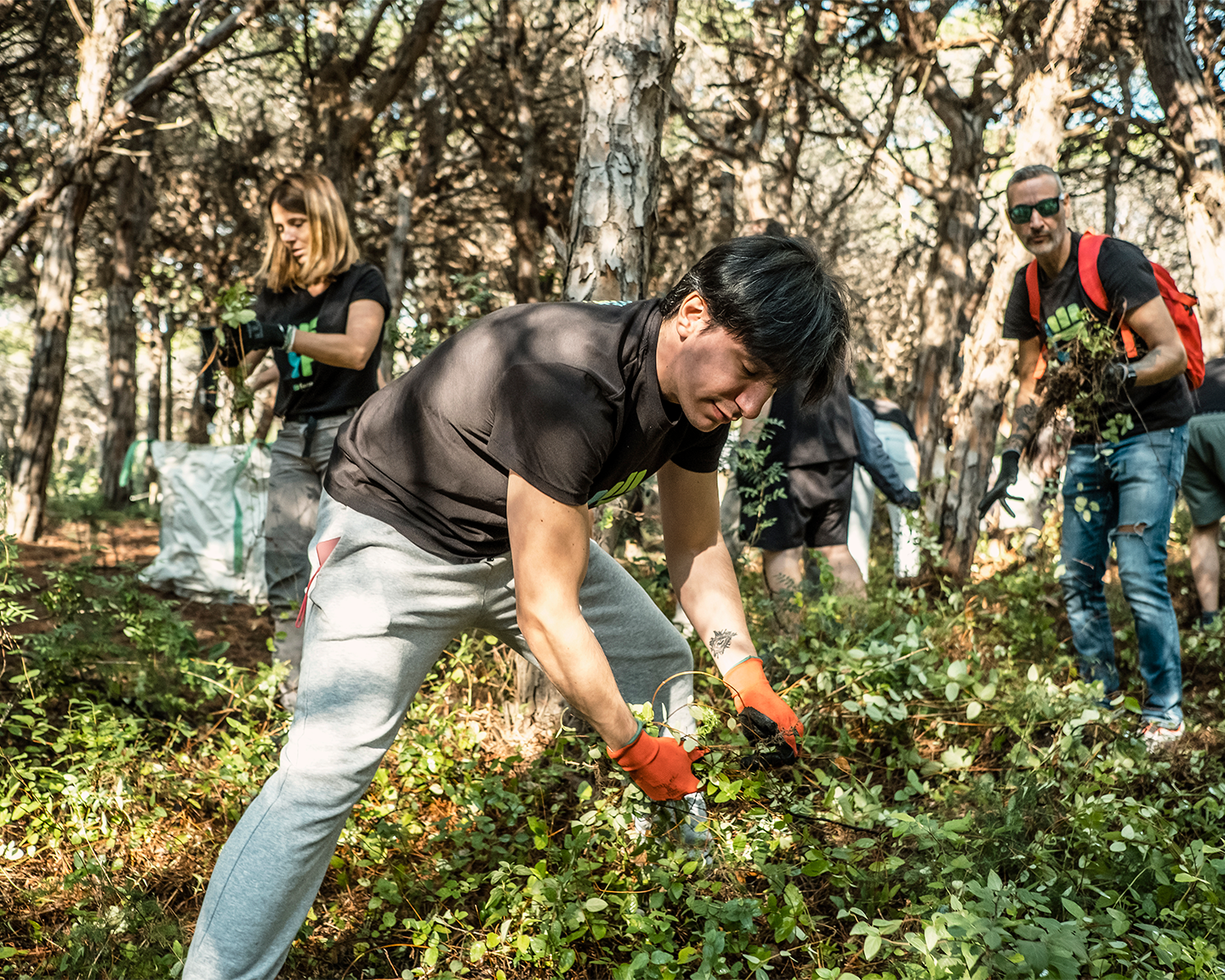Empleats en un voluntariat ambiental de neteja de boscos sota la iniciativa Liveable Planet de Grup Ferrer.