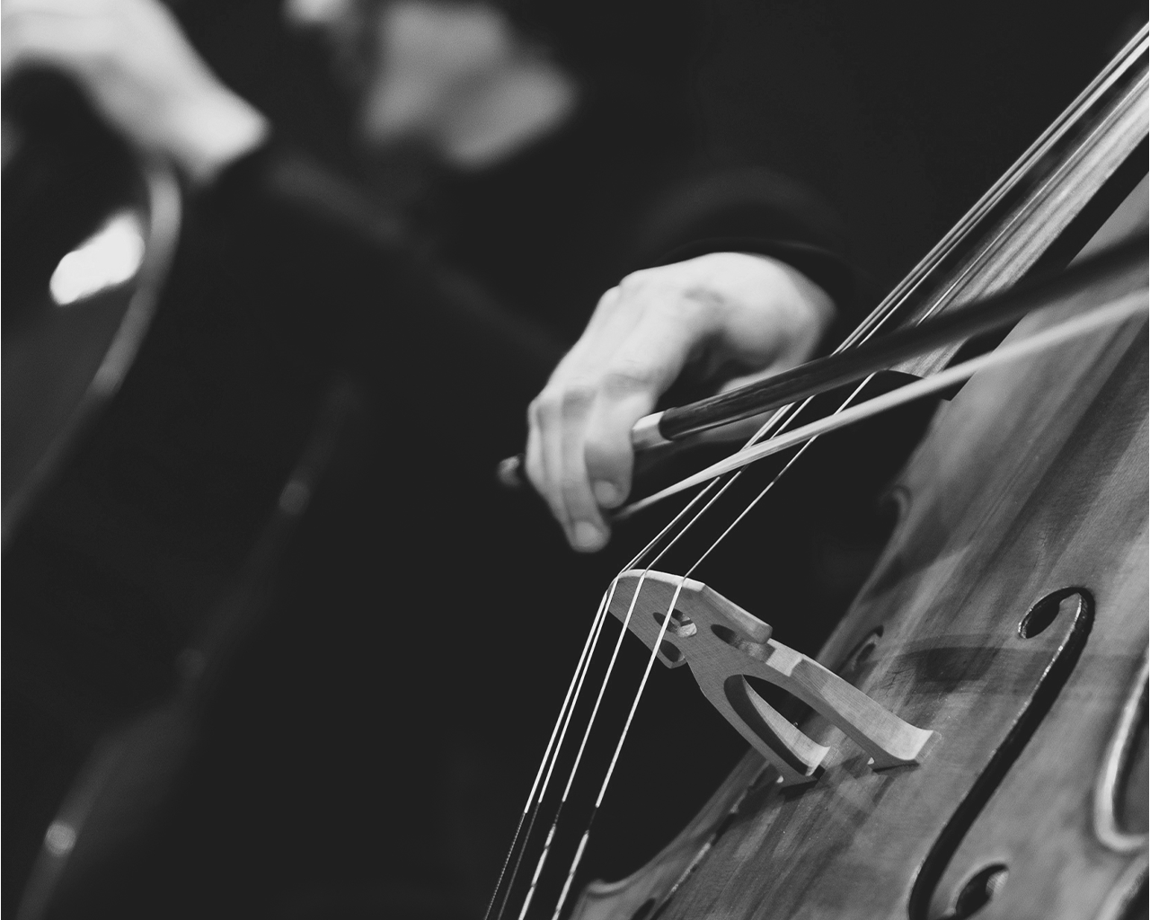 Primer pla d'un músic tocant el violoncel durant un concert finançat pels projectes culturals de la Fundació Ferrer.