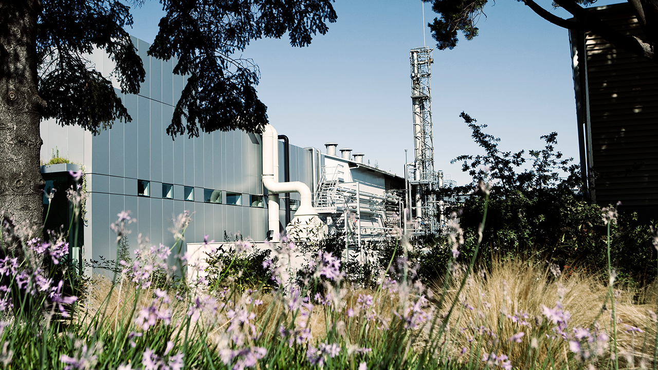 Exterior view of Ferrer's chemical plant surrounded by greenery, reflecting its commitment to green chemistry.