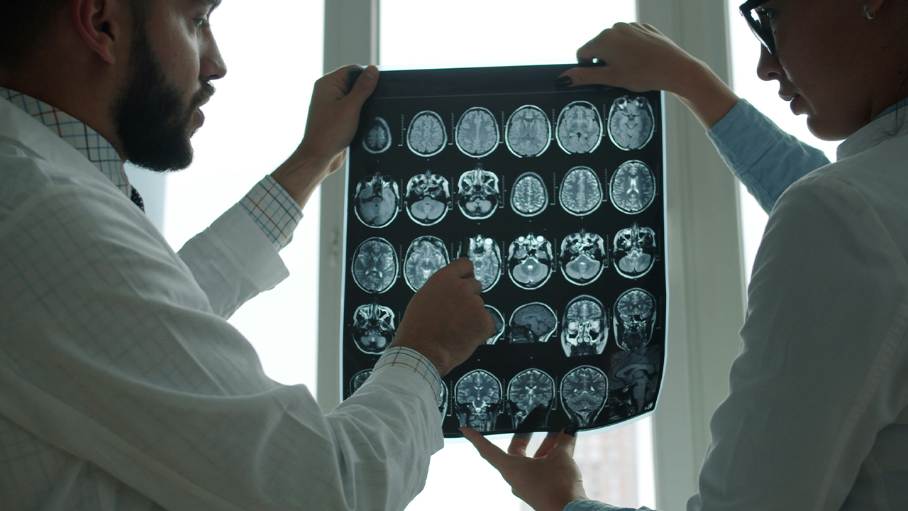Two medical professionals analyze a brain MRI scan in front of a window in an office against the light.