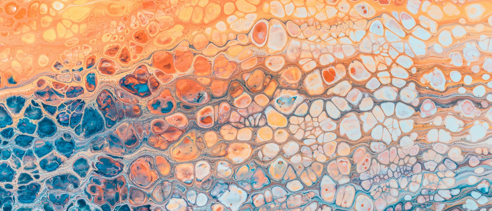 Imagen abstracta con formas celulares en tonos naranjas, azules y blancos, evocando investigación científica, biotecnología e innovación en salud.