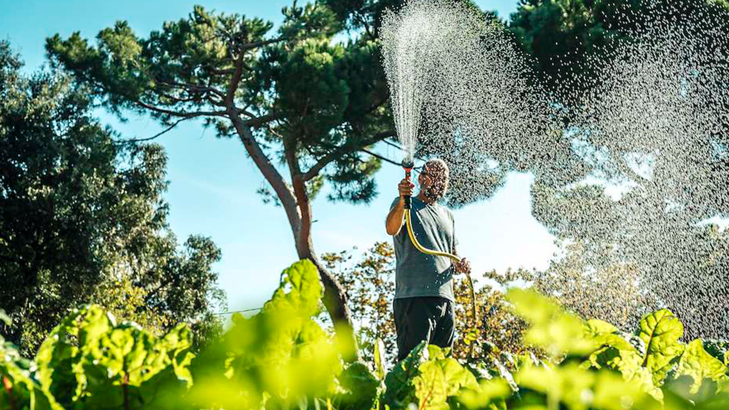 Un operario regando los cultivos de un huerto ecológico vinculado a los proyectos sociales de la Fundación Ferrer.