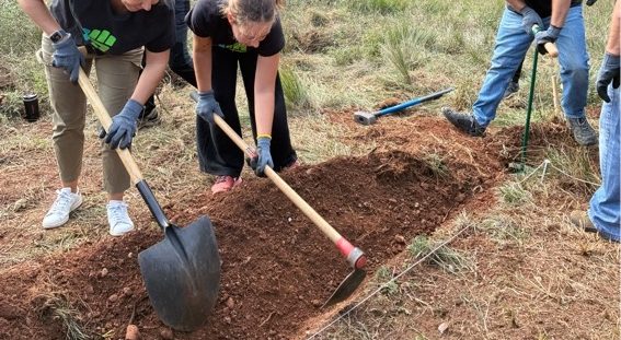 Excavació en grup