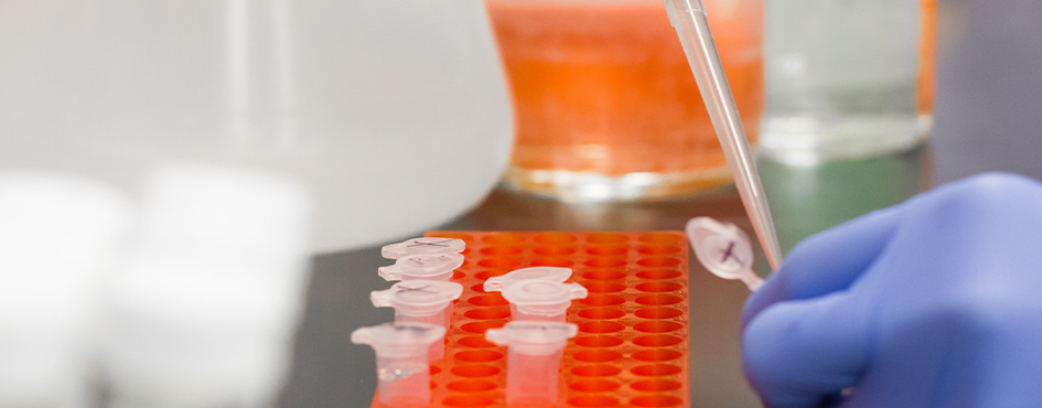 Un científic amb guants blaus utilitza una micropipeta per transferir líquid a petits tubs d'assaig en un laboratori.