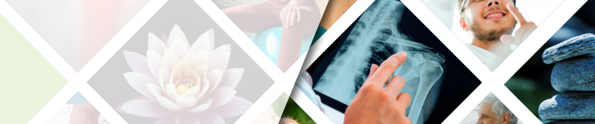 Libro blanco del dolor